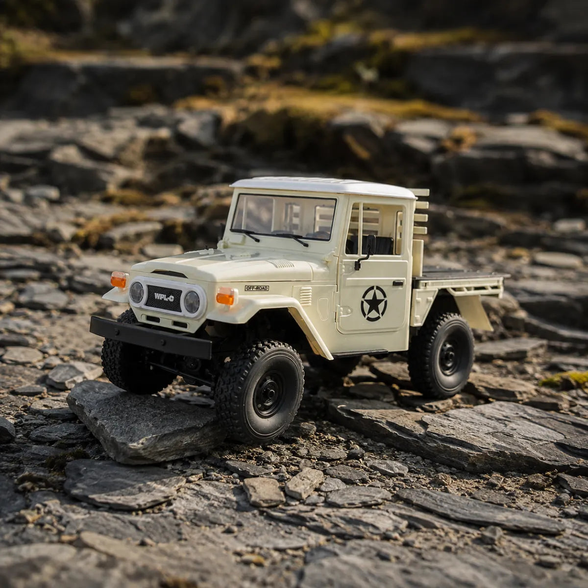 WPL C44 RTR — voiture RC crawler 1/16 — mise en situation miniature — Gift Mello